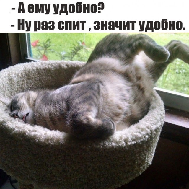 Так себе картинки 08.05.24