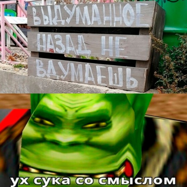 Весёлый полтишок 23.06.24
