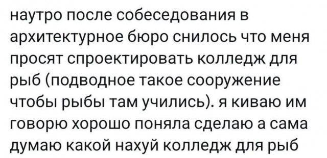 Всего понемногу. От 26.07.24