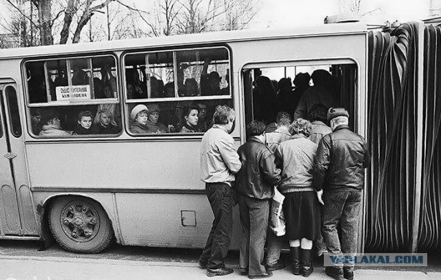Просто ламповые фото Ikarus, разные
