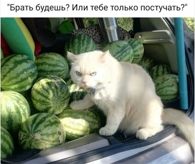 Картинки разные с надписями и без