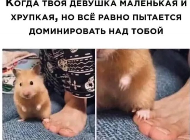 Завалялось тут случайно немного забавных картинок