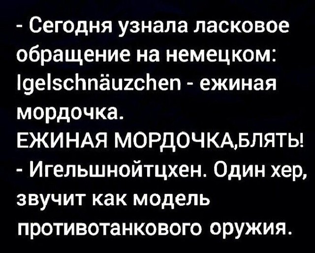 В немецком языке есть слово «Drachenfutter», которое означает «корм для дракона»