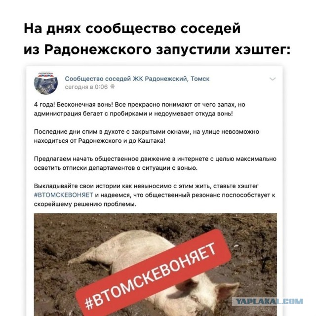 Релоканты знакомятся с жизнью в Европе