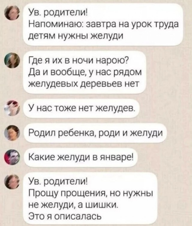 Так себе картинки 13.02.25