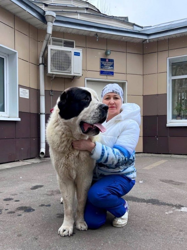 Спасенный год назад щенок навестил врача.