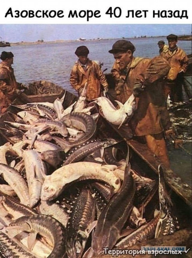 Сухогруз с кукурузой начал тонуть в Азовском море