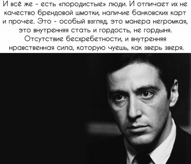 Прикольные и просто красивые картинки 21.02.2025