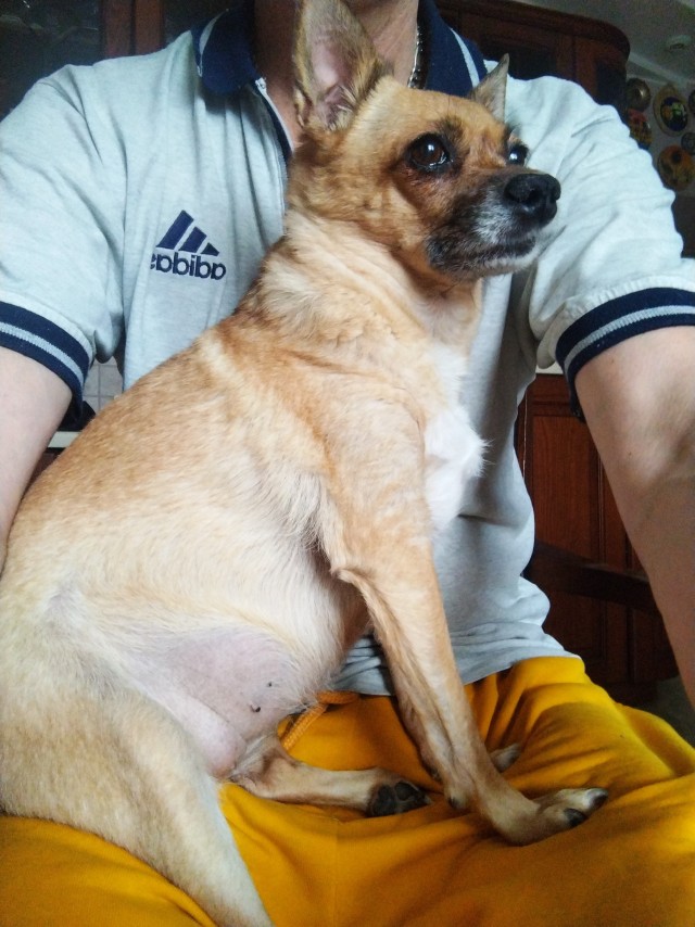 Ну ты ведь со мной поделишься, правда?