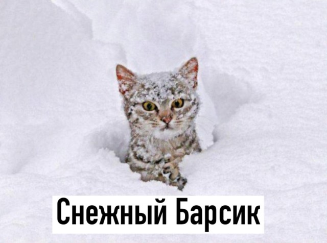 Так себе картинки 22.03.25