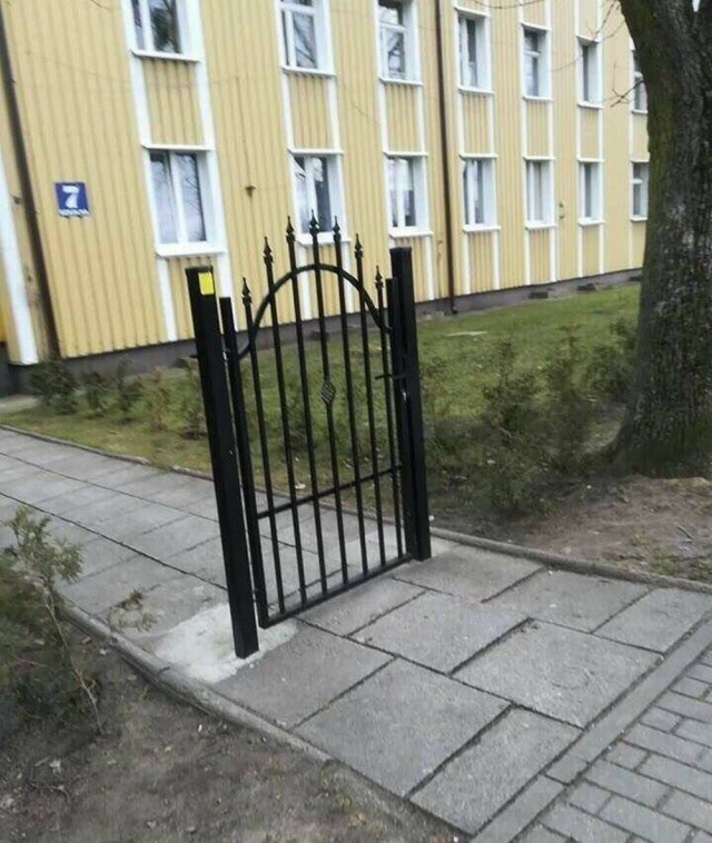 ФотоВинегрет