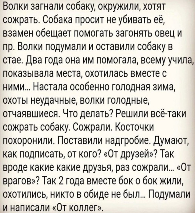 Так себе картинки 07.07.25