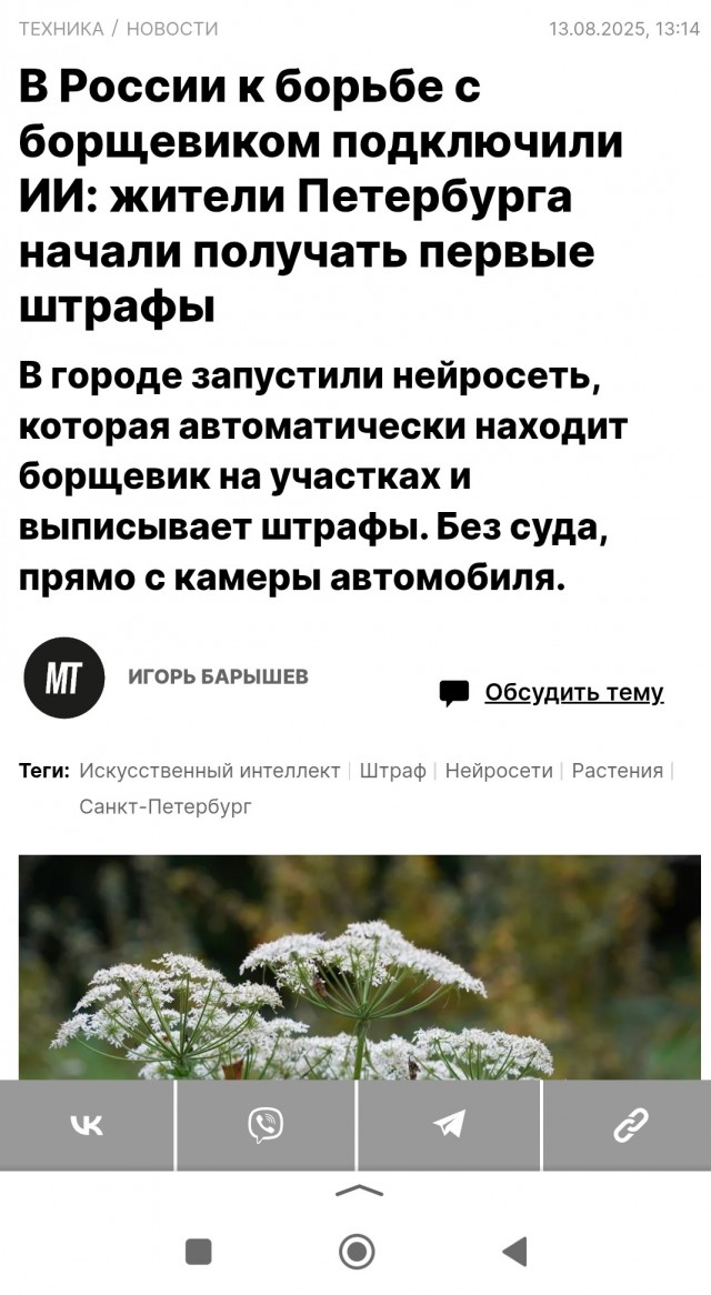 Четырехлетняя девочка получила ожоги 70% тела после встречи с борщевиком