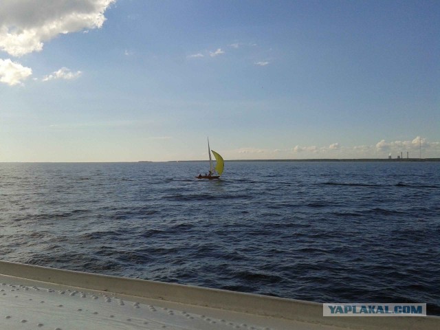 Настоящим жителям С.Пб.