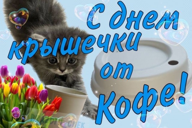 Веселое настроение в картинках (01.10.2025)