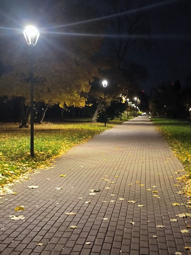Вот и осень к нам пришла