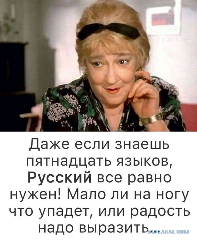 Картинки для бодрости духа
