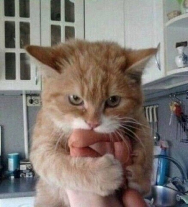 Внутренний конфликт