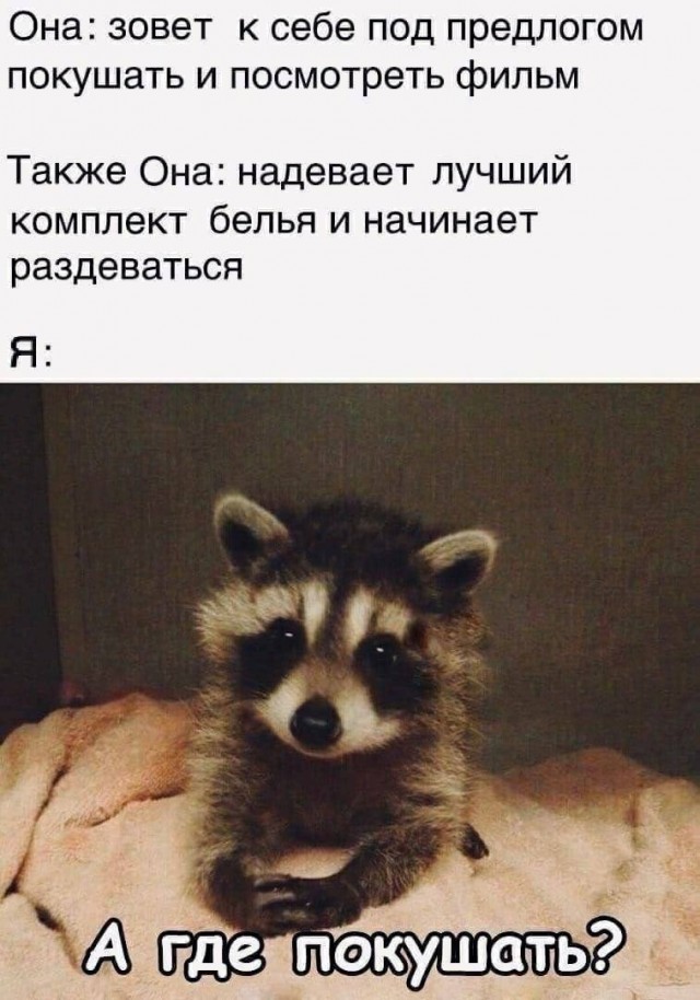 Картинки для деградации 87 (разной степени свежести)