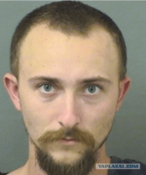 Просто жрал дохлую свинью