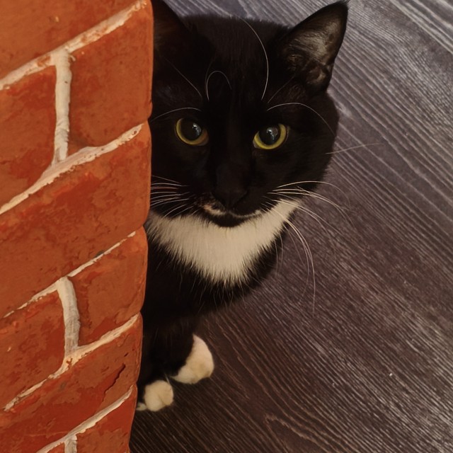 Что пьете , чем закусываете ?