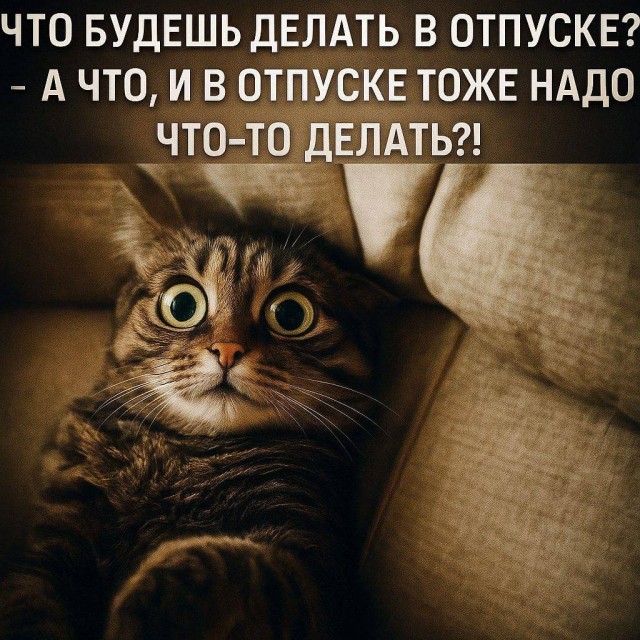 Прикольные и просто красивые картинки 06.01. 2026