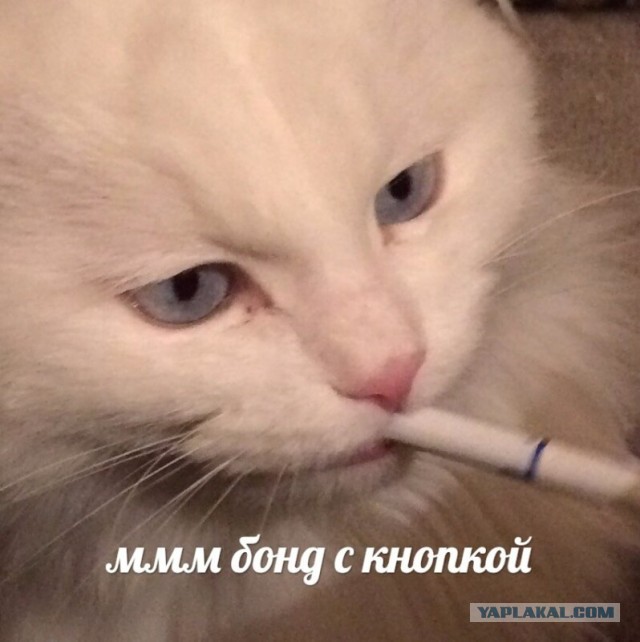 Кто помнит?