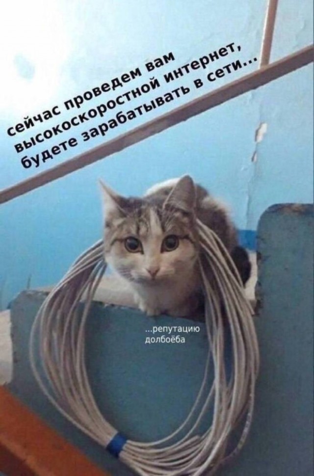 Картиночки, баянчики 24 января