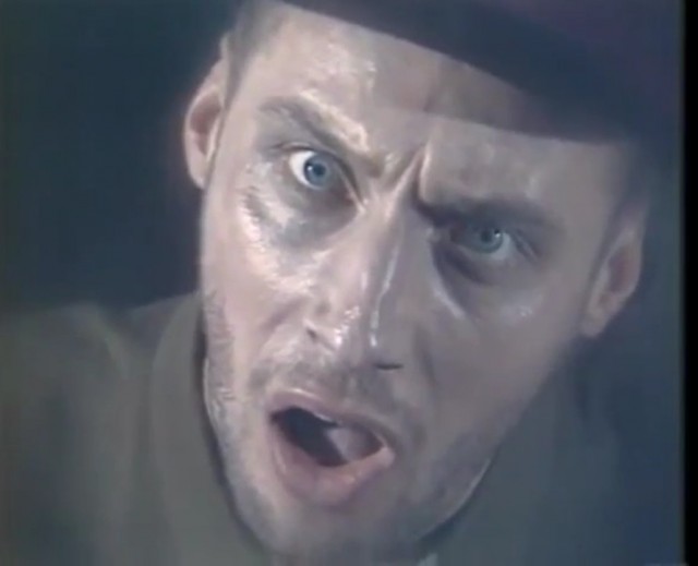 Симпатичных зверюшек вам на вечер