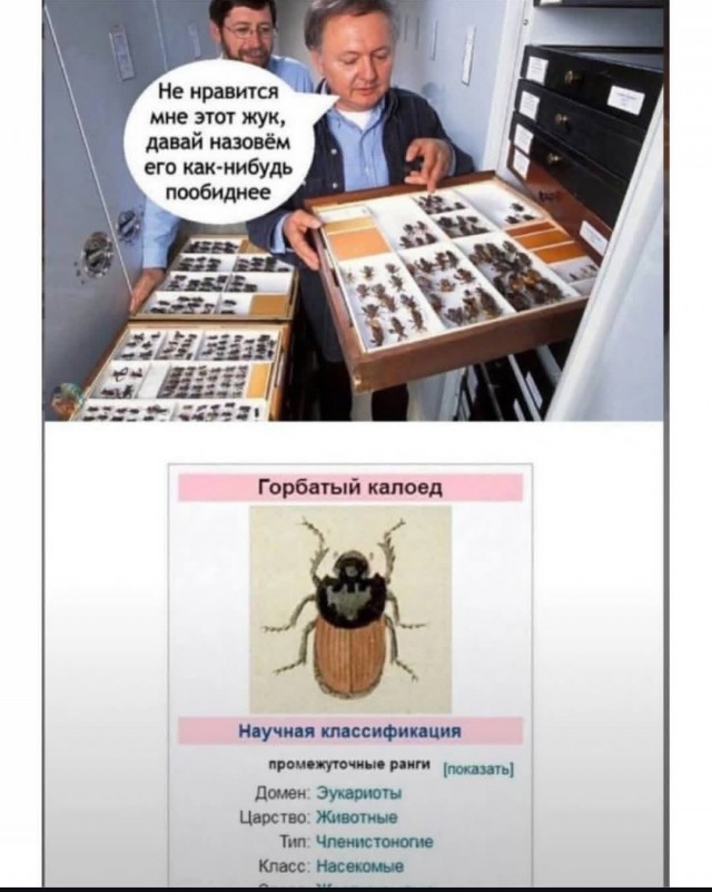 Картиночки, баянчики 16 февраля