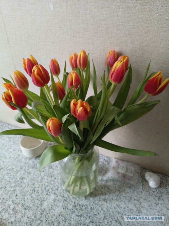 Снижение цен на тюльпаны не помогло цветочным магазинам заработать 8 Марта