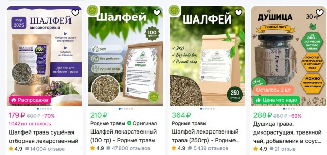 Штраф и лишение свободы на срок до 8 лет может грозить за выращивание на даче шалфея предсказателей