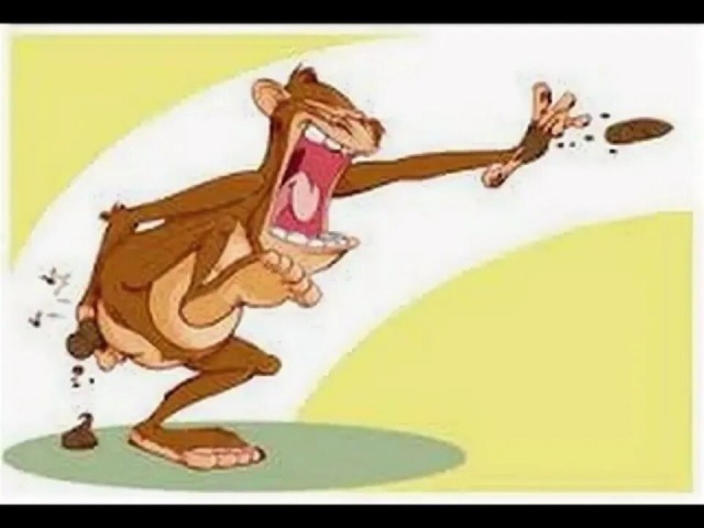 В Ингушетии горцы устроили на дороге стрельбу: так они хотели привлечь внимание к свадебному кортежу