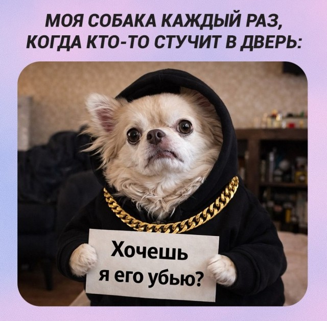 Картинки для деградации 201 (разной степени свежести)