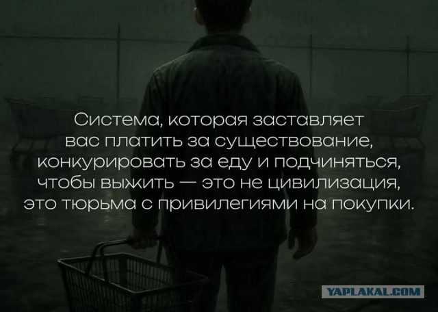 Картинки для деградации 240 (разной степени свежести)