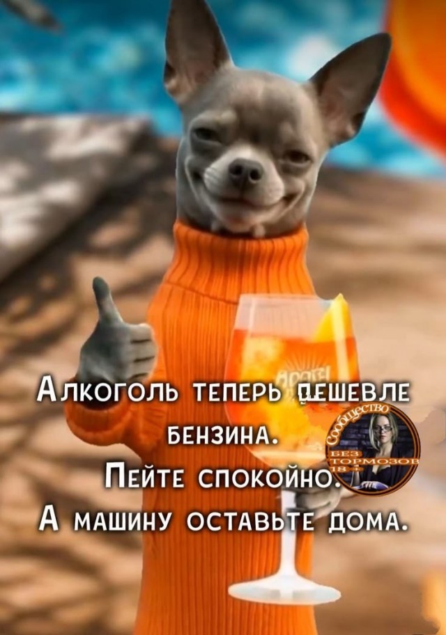 Картинки для деградации 242 (разной степени свежести)