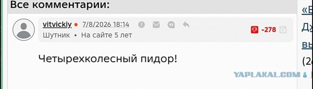 "Ничего же не сделала"