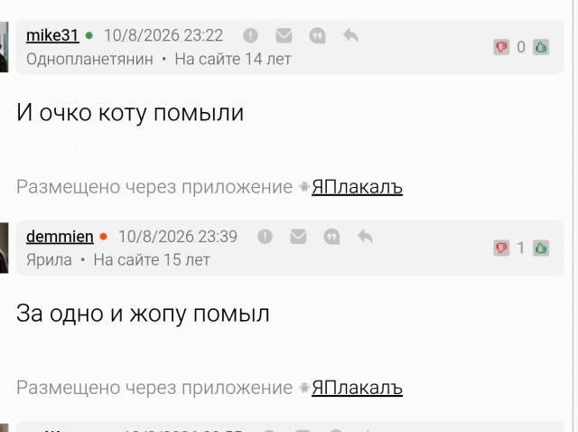 Уберите котов от экрана