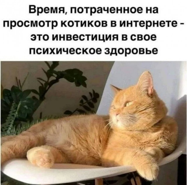 Картинки для деградации 274 (разной степени свежести)