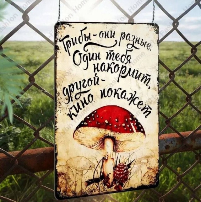 Так себе картинки 14.09.26
