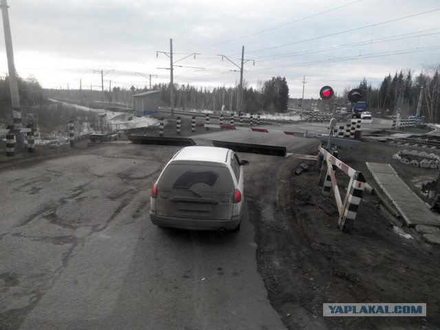 Озеленение Владивостока.