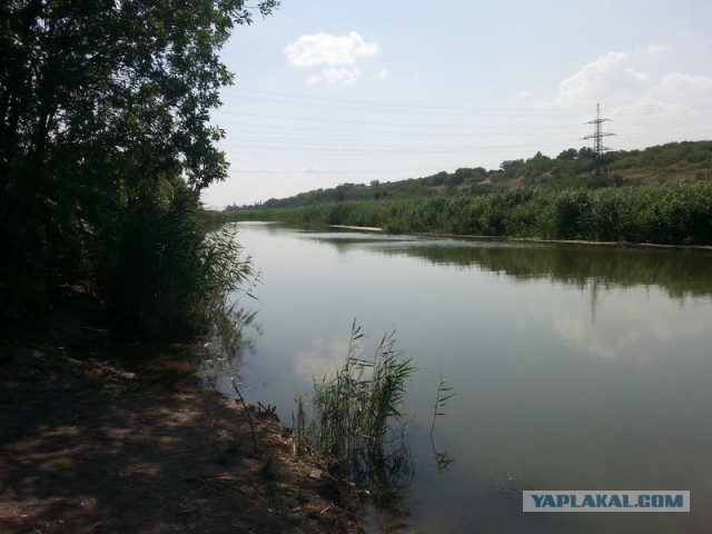 Как провести день, или сказка наяву!