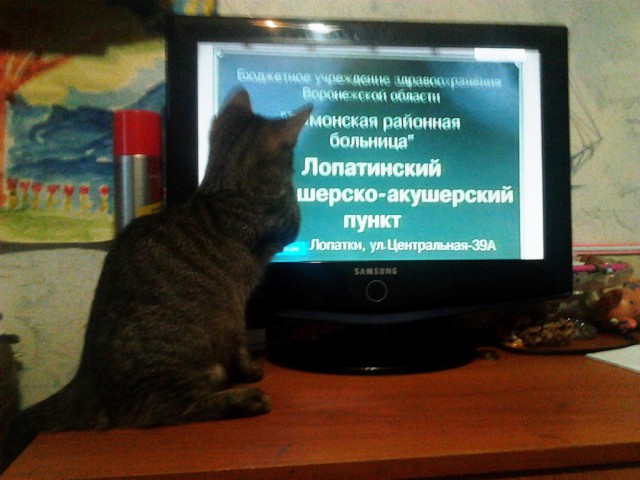 Жизнь как она есть...