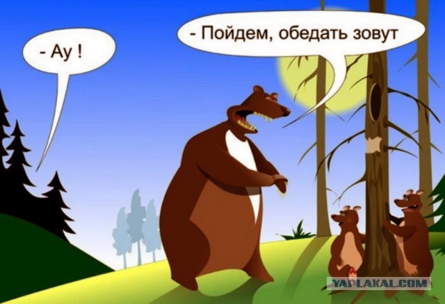 Негодяи установлены!