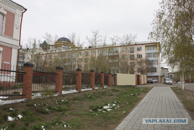 Приключения американцев в России/Монголии