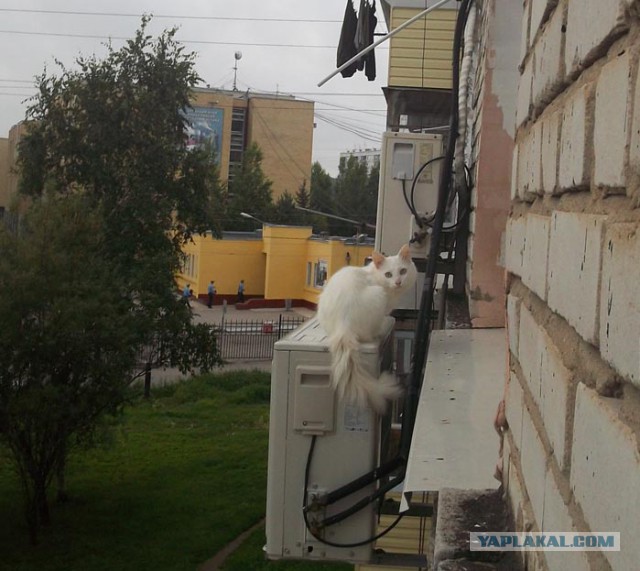Слышимость