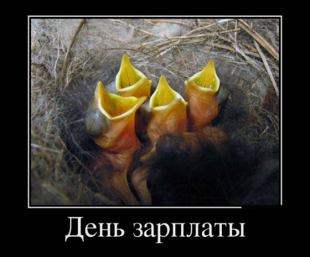 Подборка веселых картинок на выходные