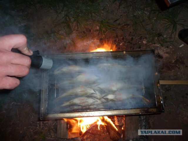 Апрельская Астрахань