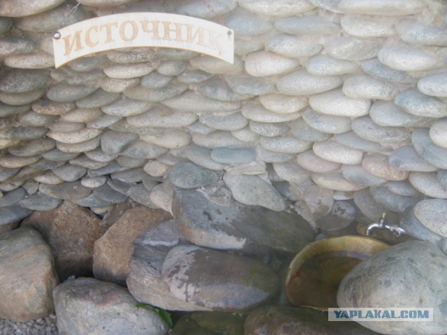 Весёлые картинки