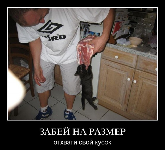 Разные картинки из сети